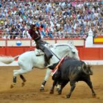 Santander, domingo 21 de julio de 2019