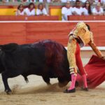 Pamplona. Domingo 7 de julio de 2019