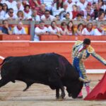 Pamplona. Miércoles 10 de julio de 2019. Feria de San Fermín. Toros de Jandilla y Vegahermosa para Diego Urdiales, Sebastián Castella y Roca Rey
