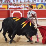 Pamplona. Domingo 7 de julio de 2019