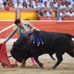 Pamplona. Miércoles 10 de julio de 2019. Feria de San Fermín. Toros de Jandilla y Vegahermosa para Diego Urdiales, Sebastián Castella y Roca Rey