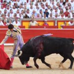 Pamplona. Miércoles 10 de julio de 2019. Feria de San Fermín. Toros de Jandilla y Vegahermosa para Diego Urdiales, Sebastián Castella y Roca Rey
