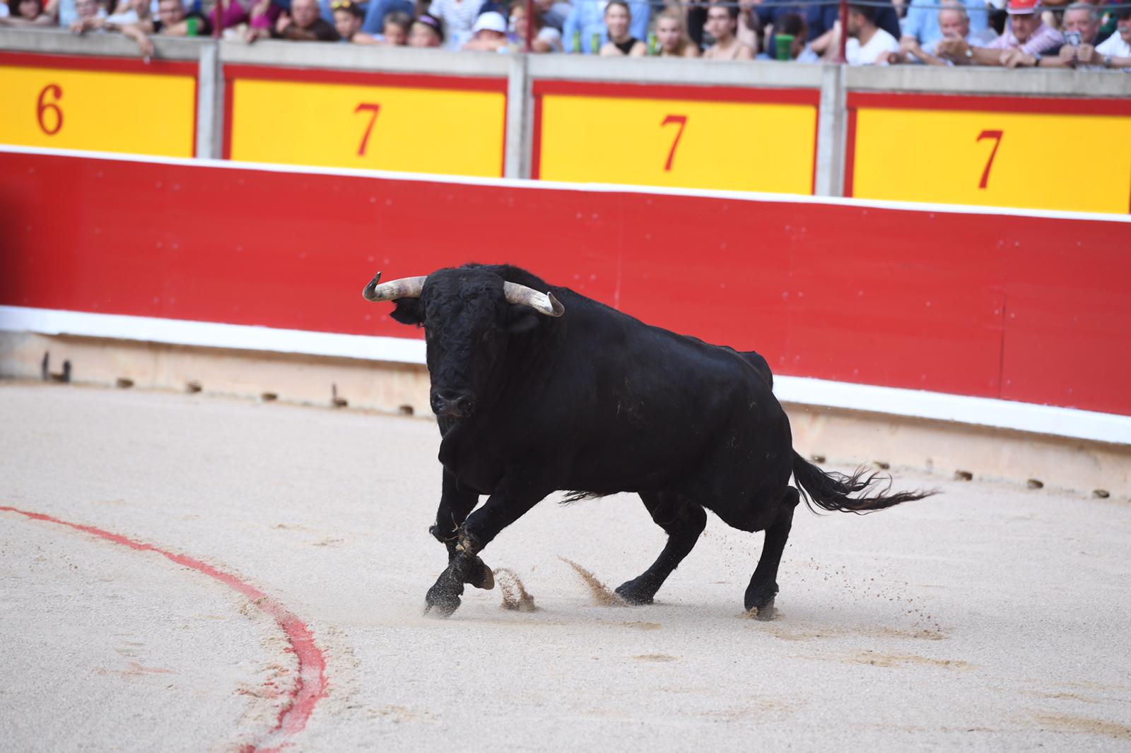 José Antonio Baigorri: "Si este año es como 2020, va a ser difícil seguir con la ganadería"