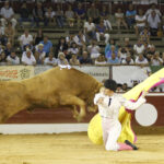 Mont de Marsan, sábado 20 de julio de 2019. Novillada nocturna