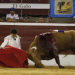 Mont de Marsan, sábado 20 de julio de 2019. Novillada nocturna