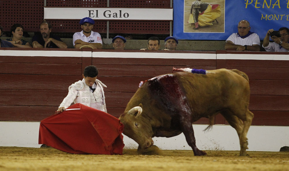 Mont de Marsan, sábado 20 de julio de 2019. Novillada nocturna