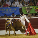 Mont de Marsan, sábado 20 de julio de 2019. Novillada nocturna