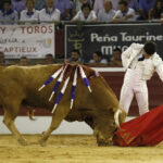 Mont de Marsan, sábado 20 de julio de 2019. Novillada nocturna