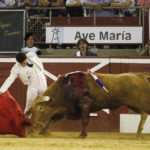 Mont de Marsan, sábado 20 de julio de 2019. Novillada nocturna