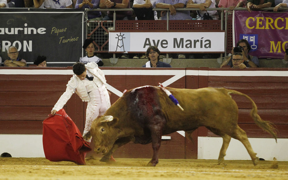 Mont de Marsan, sábado 20 de julio de 2019. Novillada nocturna