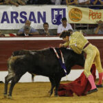 Mont de Marsan, sábado 20 de julio de 2019. Novillada nocturna