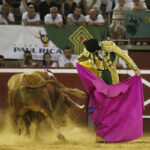 Mont de Marsan, sábado 20 de julio de 2019. Novillada nocturna