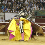 Mont de Marsan, sábado 20 de julio de 2019. Novillada nocturna