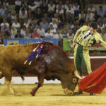 Mont de Marsan, sábado 20 de julio de 2019. Novillada nocturna