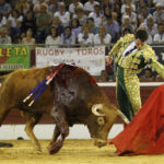 Mont de Marsan, sábado 20 de julio de 2019. Novillada nocturna