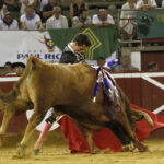 Mont de Marsan, sábado 20 de julio de 2019. Novillada nocturna