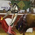 Mont de Marsan, sábado 20 de julio de 2019. Novillada nocturna