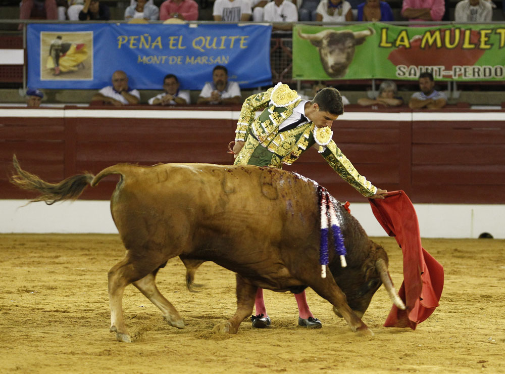 Mont de Marsan, sábado 20 de julio de 2019. Novillada nocturna