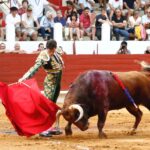 Saint-Vincent-de-Tyrosse, domingo 21 de julio de 2019