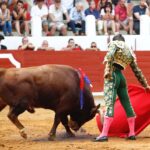 Saint-Vincent-de-Tyrosse, domingo 21 de julio de 2019