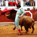 Saint-Vincent-de-Tyrosse, domingo 21 de julio de 2019