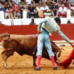 Saint-Vincent-de-Tyrosse, domingo 21 de julio de 2019