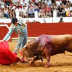 Saint-Vincent-de-Tyrosse, domingo 21 de julio de 2019