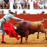 Saint-Vincent-de-Tyrosse, domingo 21 de julio de 2019