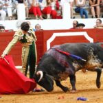 Saint-Vincent-de-Tyrosse, domingo 21 de julio de 2019