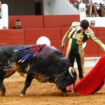 Saint-Vincent-de-Tyrosse, domingo 21 de julio de 2019