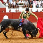 Saint-Vincent-de-Tyrosse, domingo 21 de julio de 2019