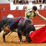 Saint-Vincent-de-Tyrosse, domingo 21 de julio de 2019