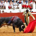 Saint-Vincent-de-Tyrosse, domingo 21 de julio de 2019