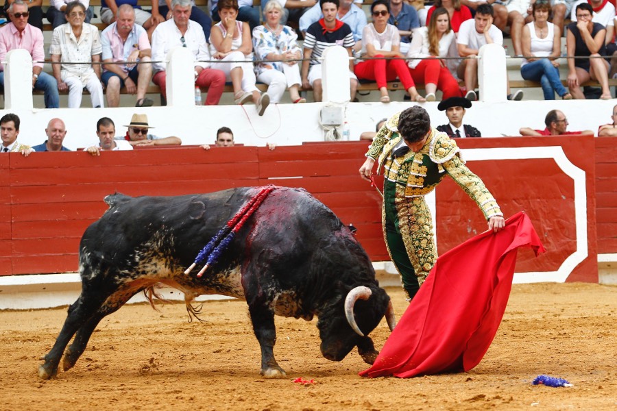 Saint-Vincent-de-Tyrosse, domingo 21 de julio de 2019