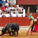 Saint-Vincent-de-Tyrosse, domingo 21 de julio de 2019