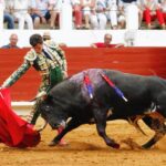 Saint-Vincent-de-Tyrosse, domingo 21 de julio de 2019