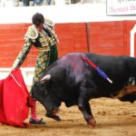 Saint-Vincent-de-Tyrosse, domingo 21 de julio de 2019