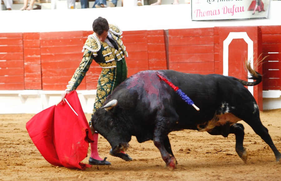 Saint-Vincent-de-Tyrosse, domingo 21 de julio de 2019