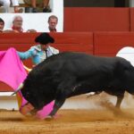 Saint-Vincent-de-Tyrosse, domingo 21 de julio de 2019