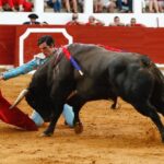 Saint-Vincent-de-Tyrosse, domingo 21 de julio de 2019