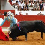 Saint-Vincent-de-Tyrosse, domingo 21 de julio de 2019