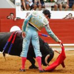 Saint-Vincent-de-Tyrosse, domingo 21 de julio de 2019