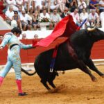 Saint-Vincent-de-Tyrosse, domingo 21 de julio de 2019