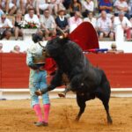 Saint-Vincent-de-Tyrosse, domingo 21 de julio de 2019