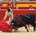 Pamplona. Viernes 5 de julio de 2019