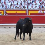 Pamplona. Sábado 6 de julio de 2019