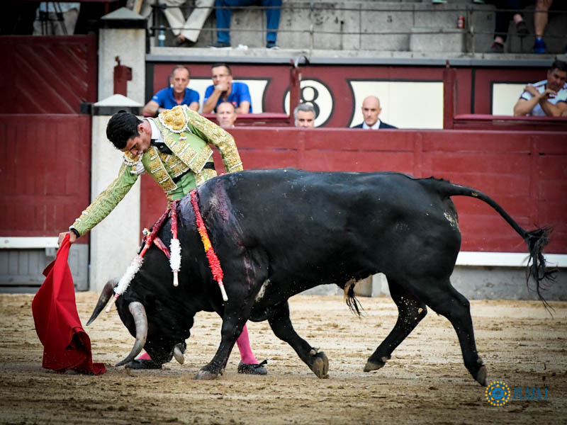 Madrid. Jueves 11 de julio de 2019