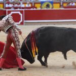 Pamplona. Domingo 7 de julio de 2019