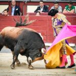 Madrid, jueves 4 de julio de 2019