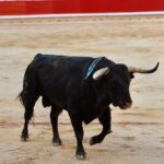 Pamplona. Miércoles 10 de julio de 2019. Feria de San Fermín. Toros de Jandilla y Vegahermosa para Diego Urdiales, Sebastián Castella y Roca Rey